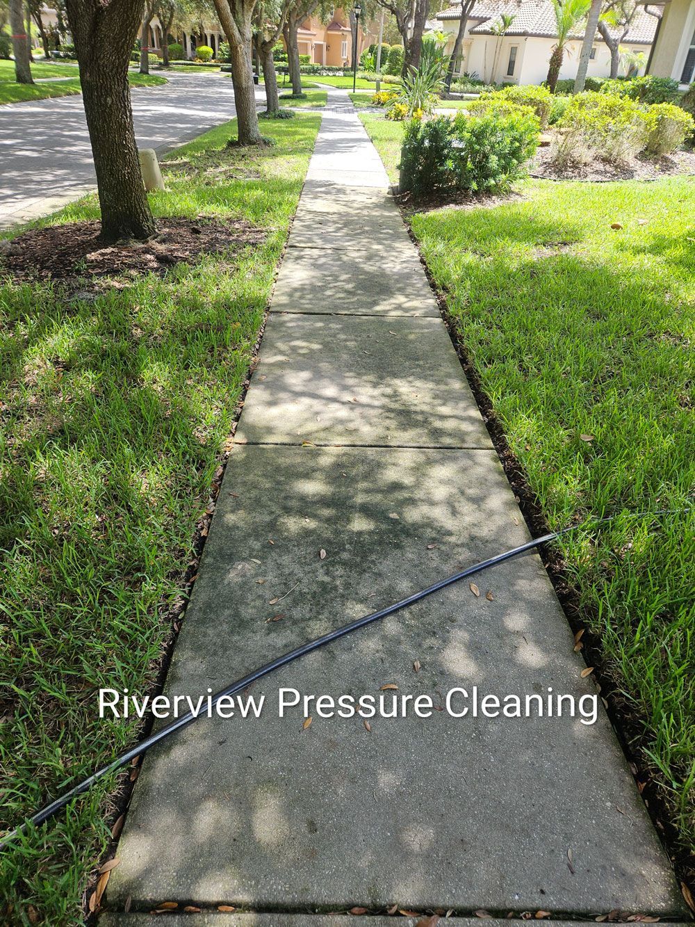 Algae and mildew buildup on driveway in FishHawk Lithia FL