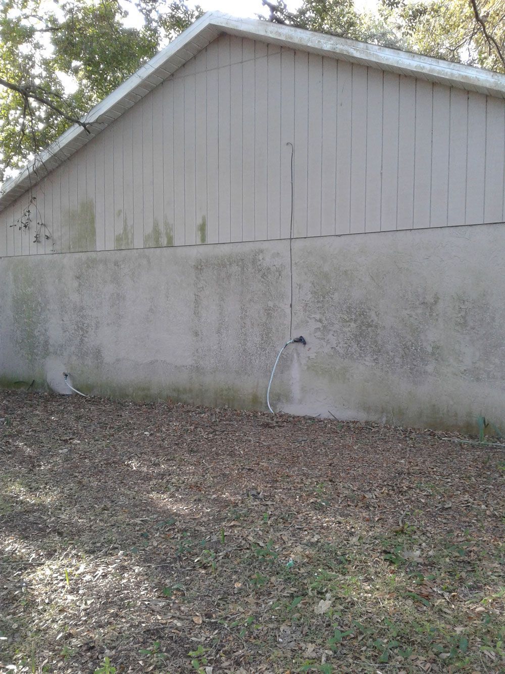 Algae and mildew buildup on a home exterior in Valrico, FL before cleaning