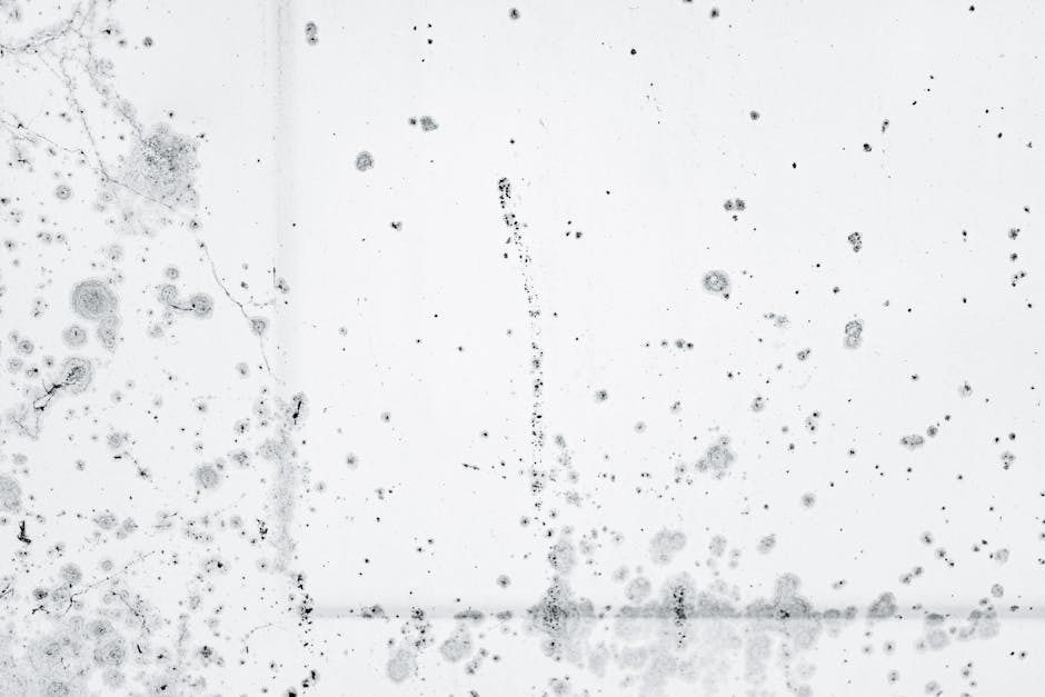 Florida humidity makes mold and mildew grow on fences in Lithia FL
