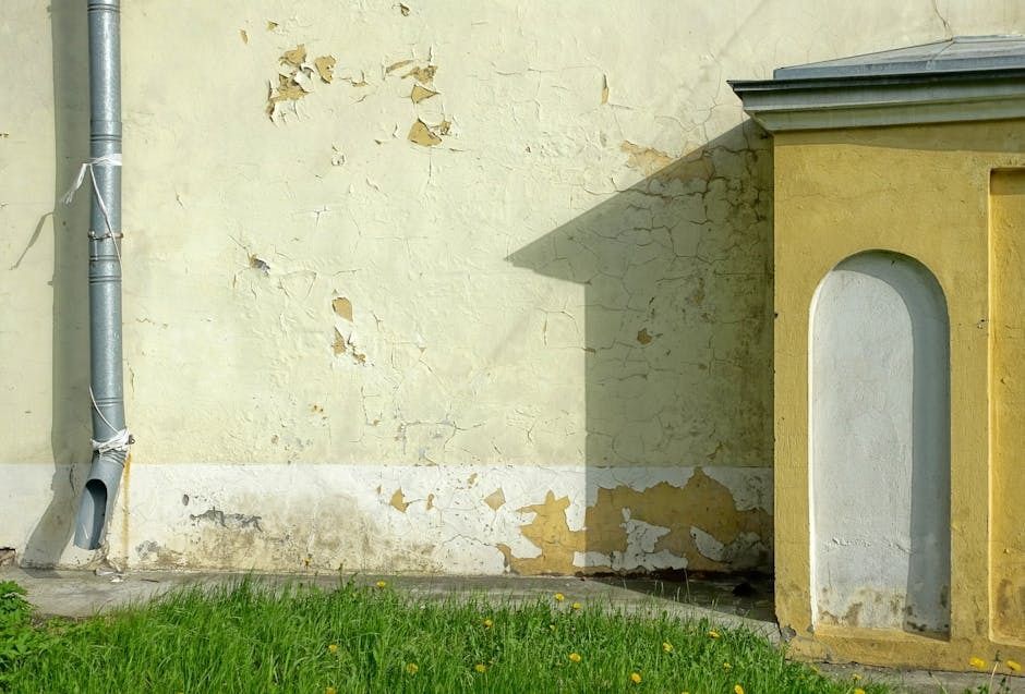 Algae and mildew can damage homes in Florida