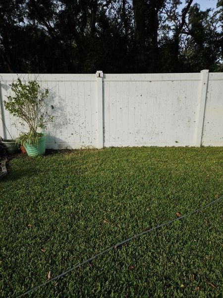 Fence pressure washing in Riverview FL to remove algae and lichen