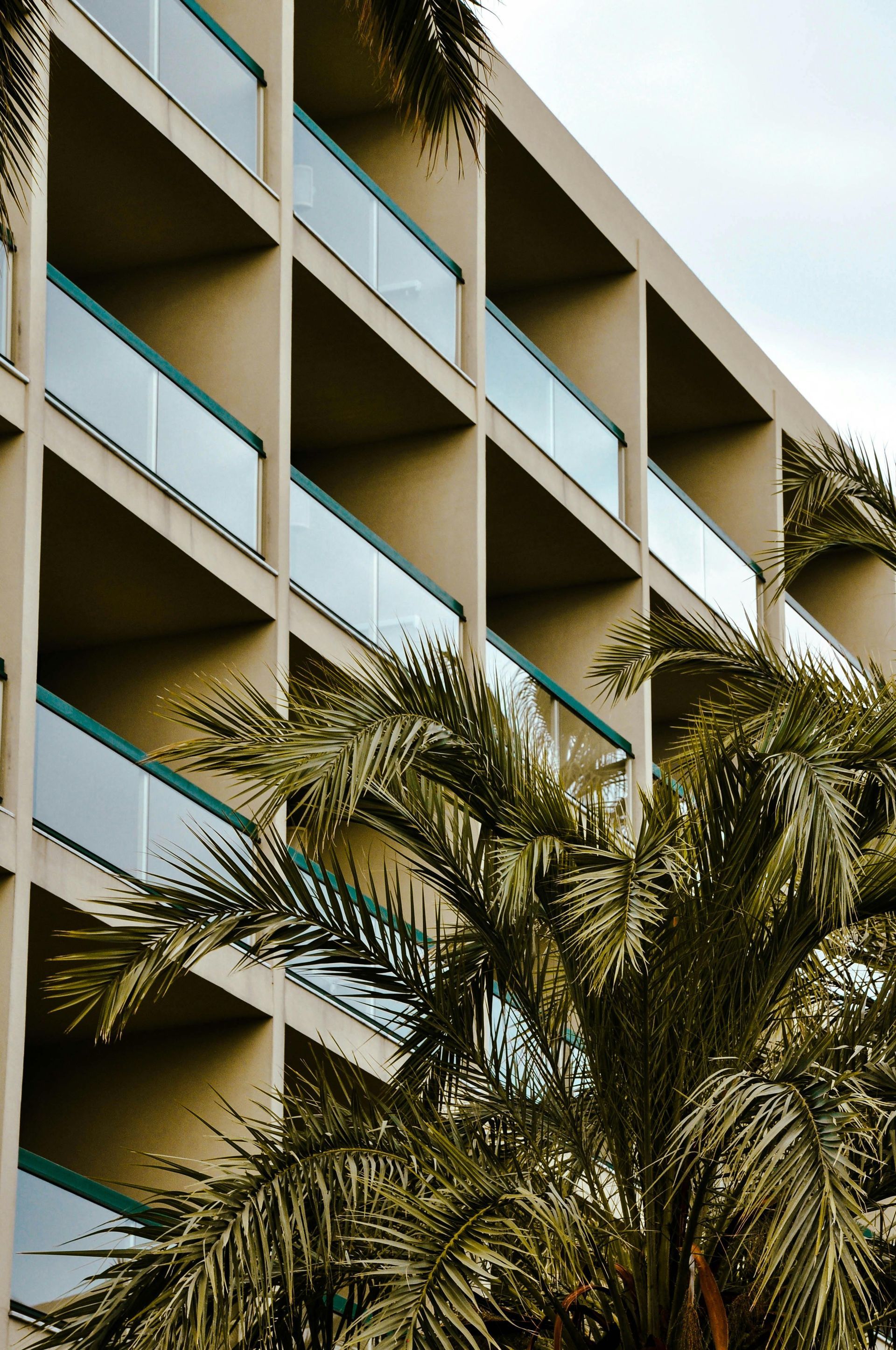 Beige building facade with grid of balconies, green glass, and palm tree in foreground.