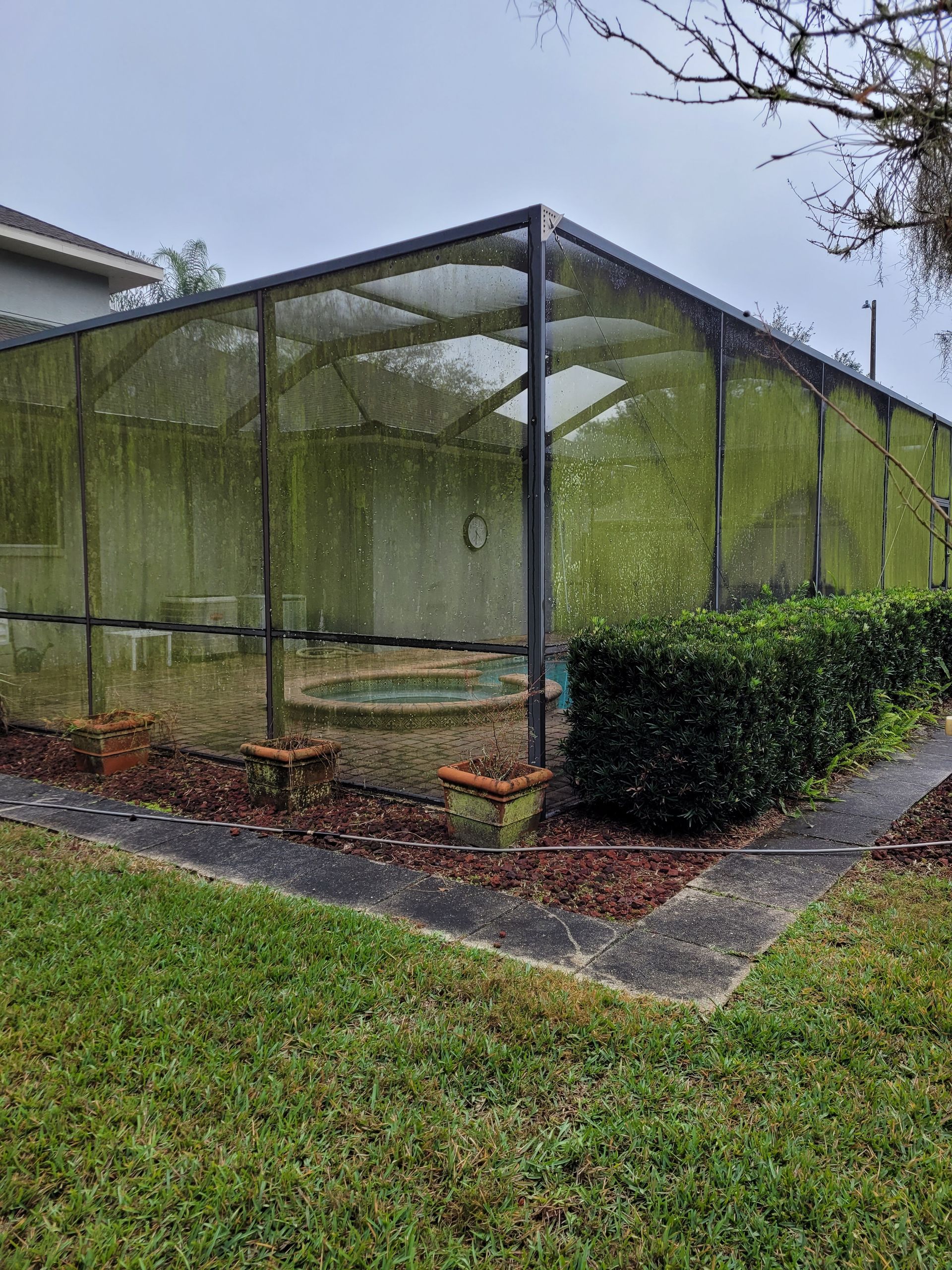 Pool cage covered in algae before cleaning in Valrico