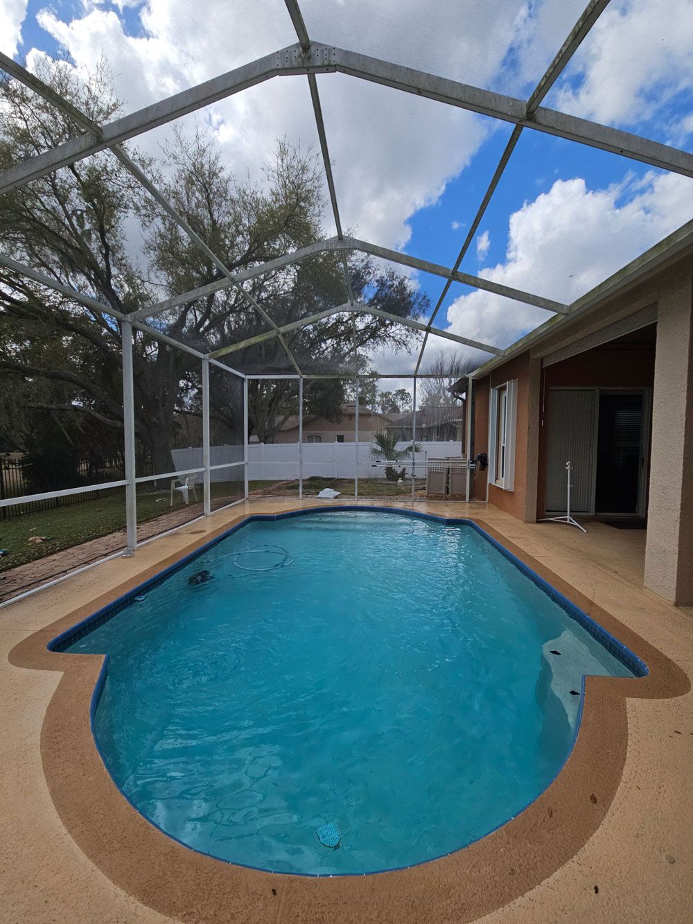 Pool cage with green algae buildup before cleaning in Valrico FL