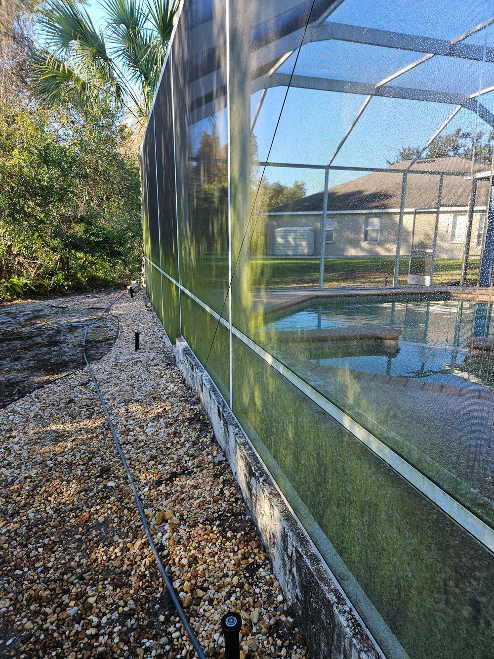 Pool cage screens covered with green algae before cleaning in Riverview FL