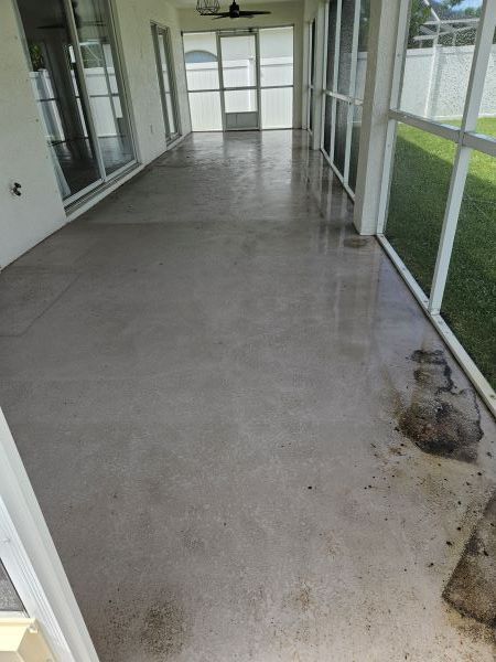 Green screened-in patio/courtyard beside a hedge and wet lawn, with potted plants and a stone path.