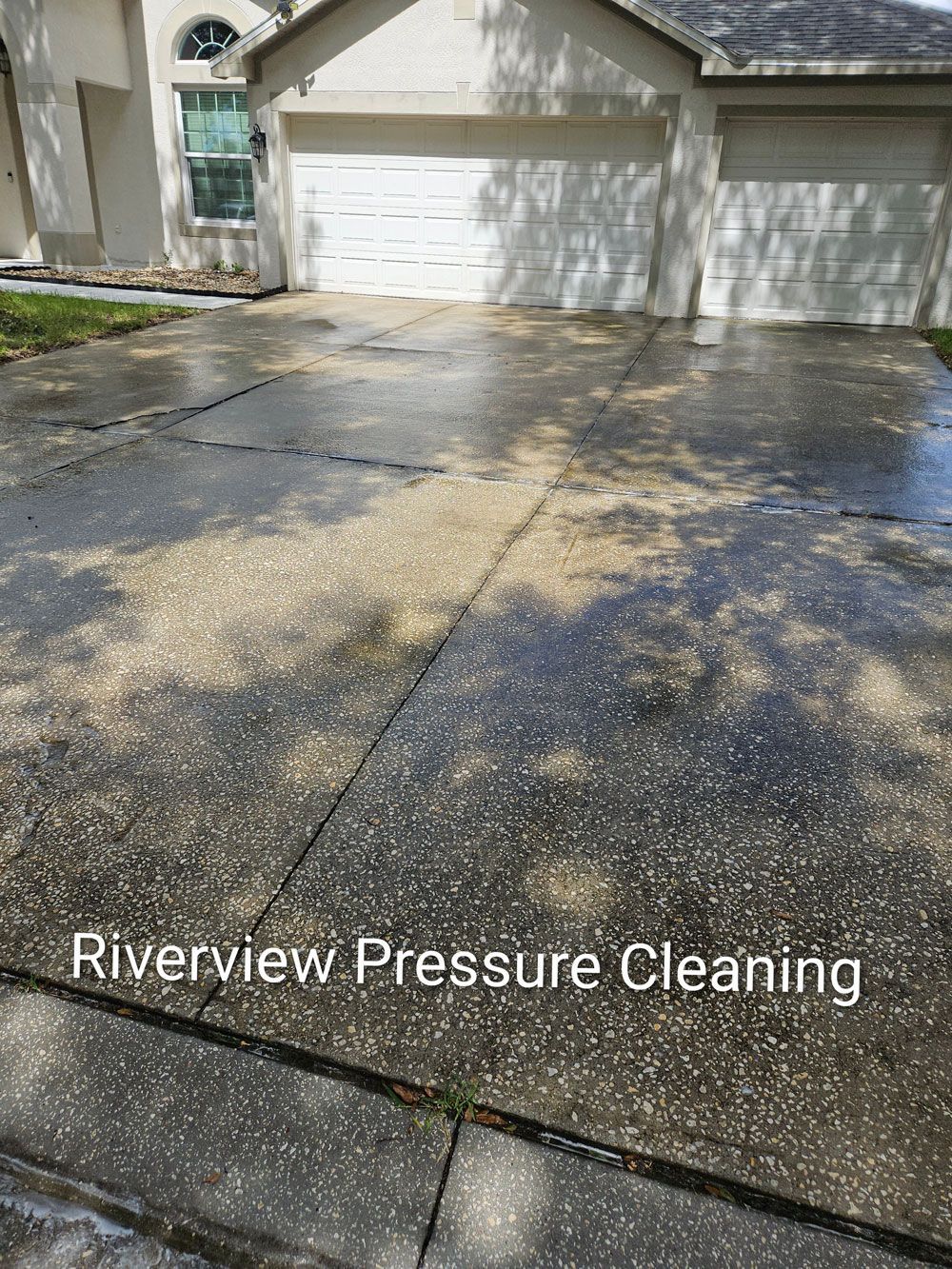 Dirty algae covered driveway before pressure washing in Panther Trace Riverview FL
