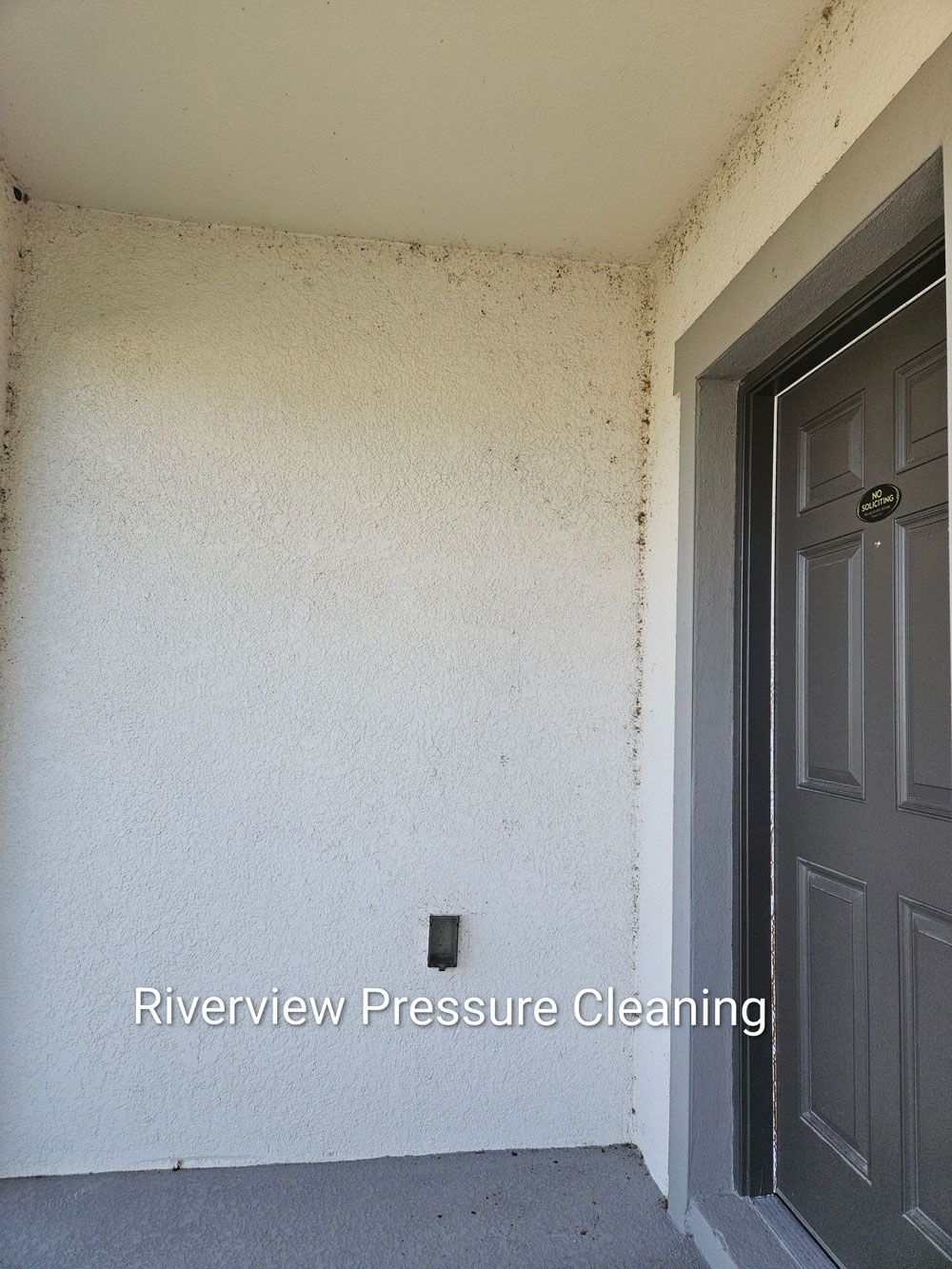 House pressure washing in Riverview with dead bugs around front porch and soffits