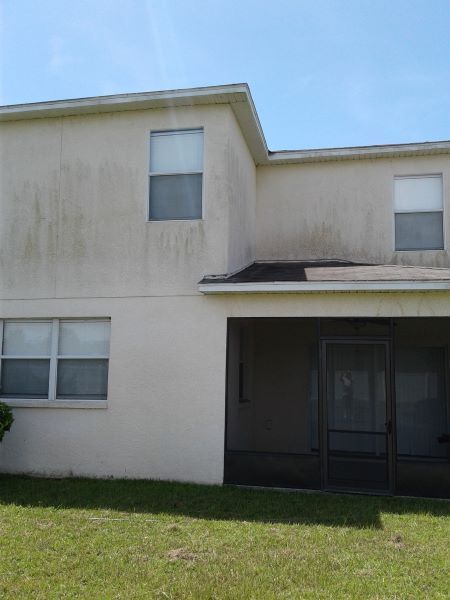 House exterior with algae and mildew buildup before soft washing in Ruskin FL