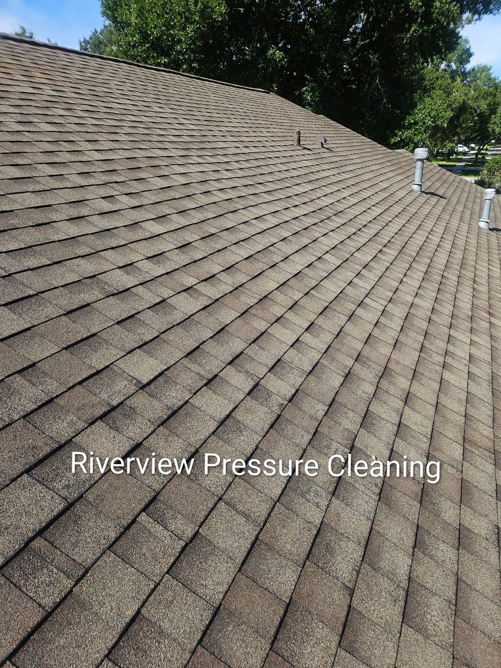 Clean brown shingle roof after soft wash roof cleaning in Brandon FL