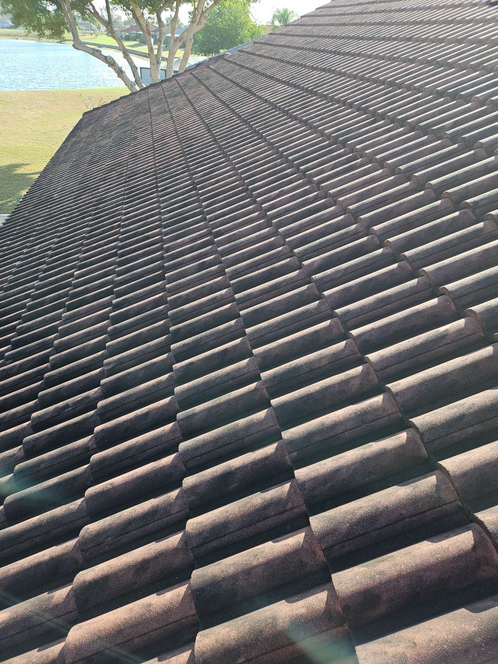 Before photo of a tile roof in Sun City Center, FL before cleaning