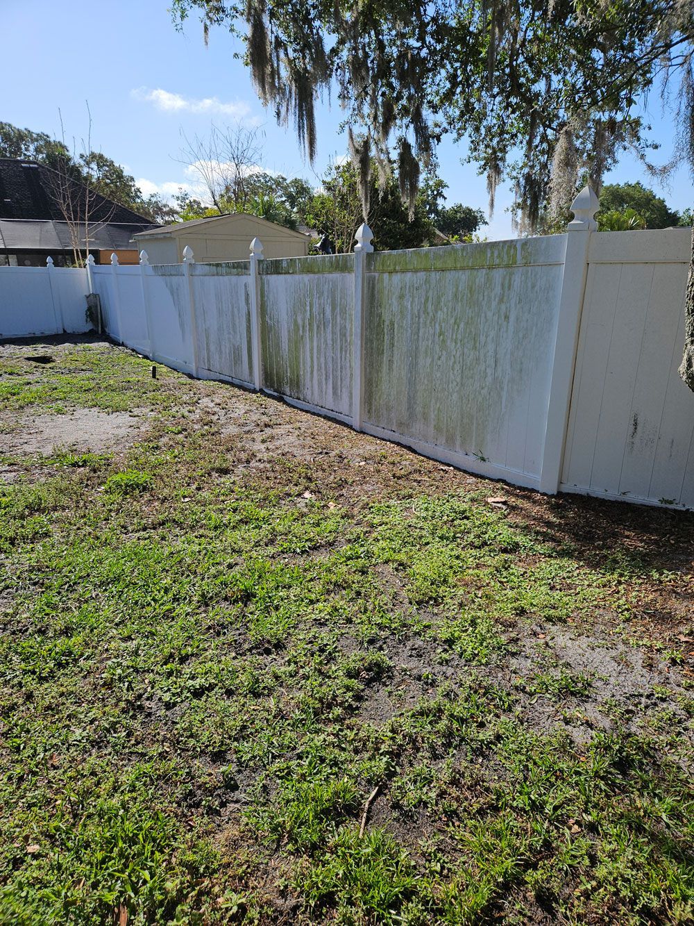 Green algae buildup on a vinyl fence in Valrico, FL before cleaning