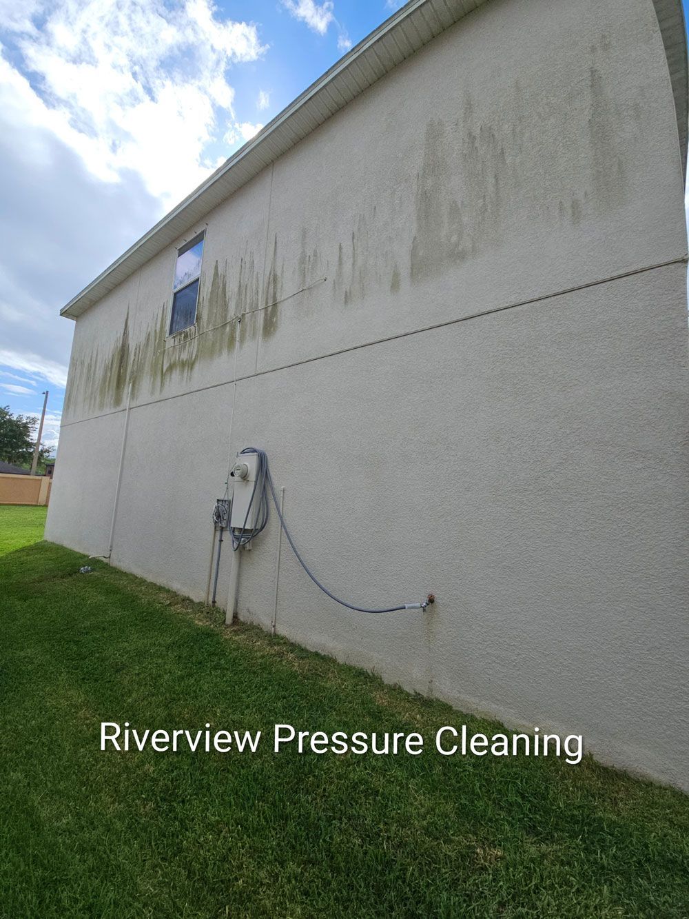 Algae and mildew buildup on a house in Ayersworth Wimauma