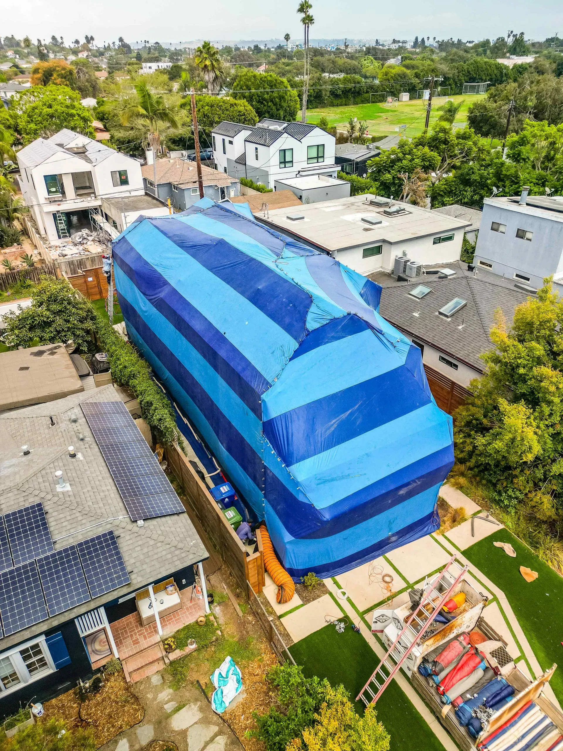 House covered in blue-striped tarp, likely for fumigation, in a residential neighborhood.