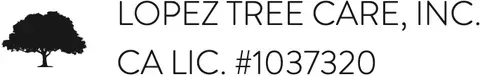 Lopez Tree Care Inc. Lopez Tree Care Inc.