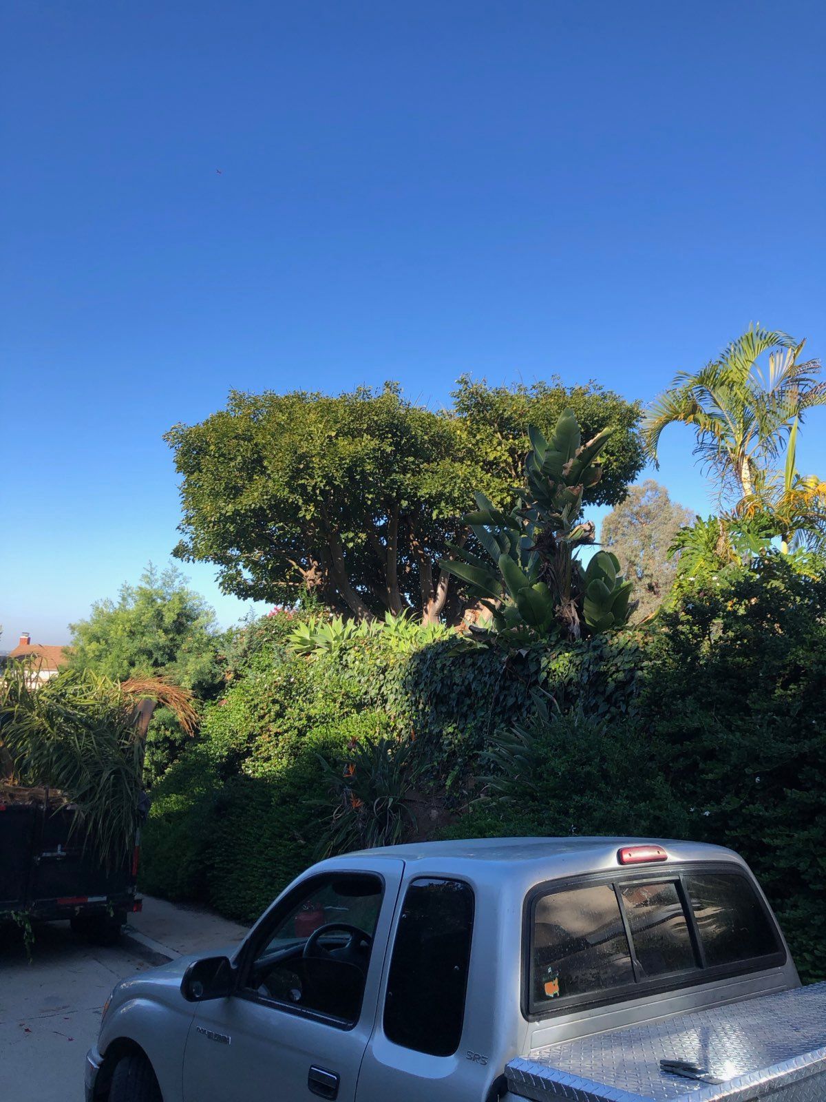 A silver truck is parked in a driveway with trees in the background.