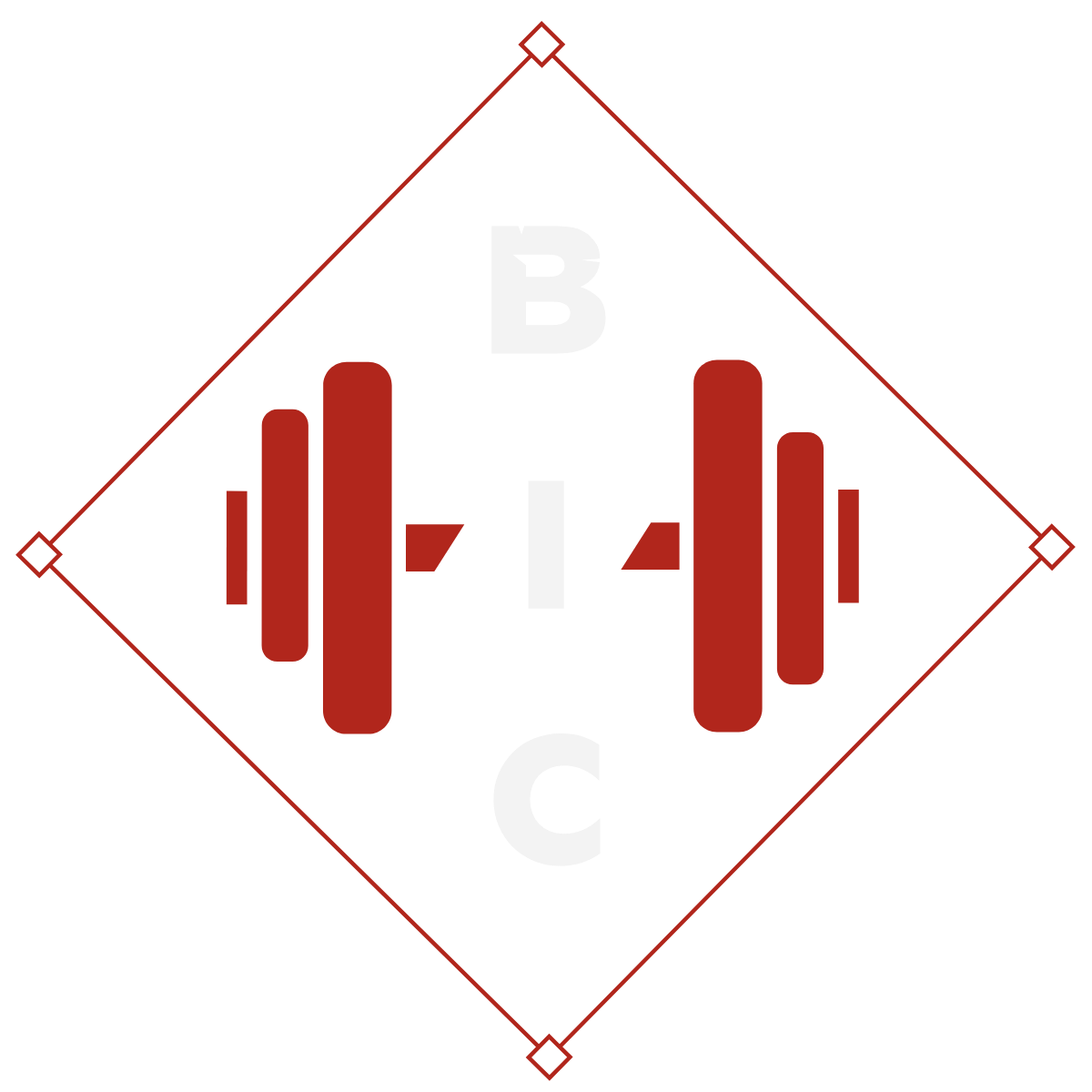 bic logo