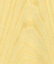 A close up of a piece of yellow fabric on a white background.