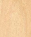 A close up of a piece of wood showing the texture of the wood.
