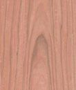 A close up of a piece of wood showing the grain and texture.