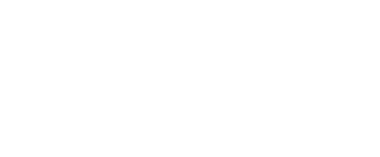 Google Review Widget Logo