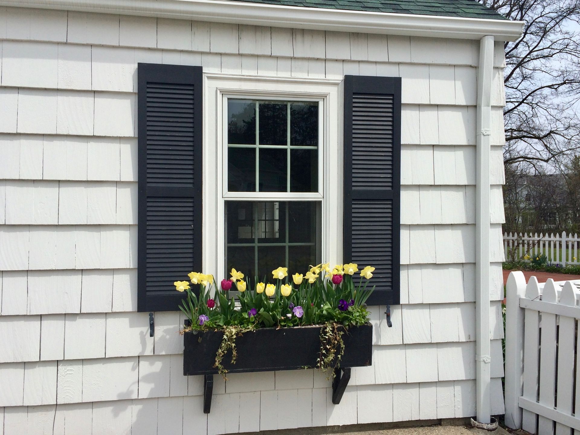 White house window with black shutters and a flower box of yellow and purple blooms underneath. White house window with black shutters and a flower box of yellow and purple blooms underneath.