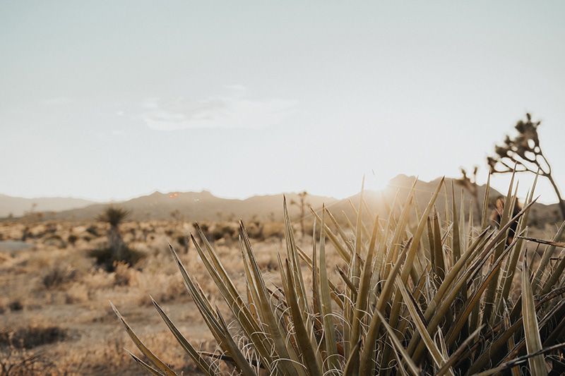 California Desert near Chino, CA