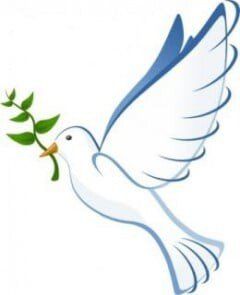 White dove carrying an olive branch, with blue accents on its wings and tail