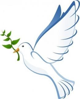 White dove flying with a green olive branch in its beak, symbolizing peace White dove flying with a green olive branch in its beak, symbolizing peace