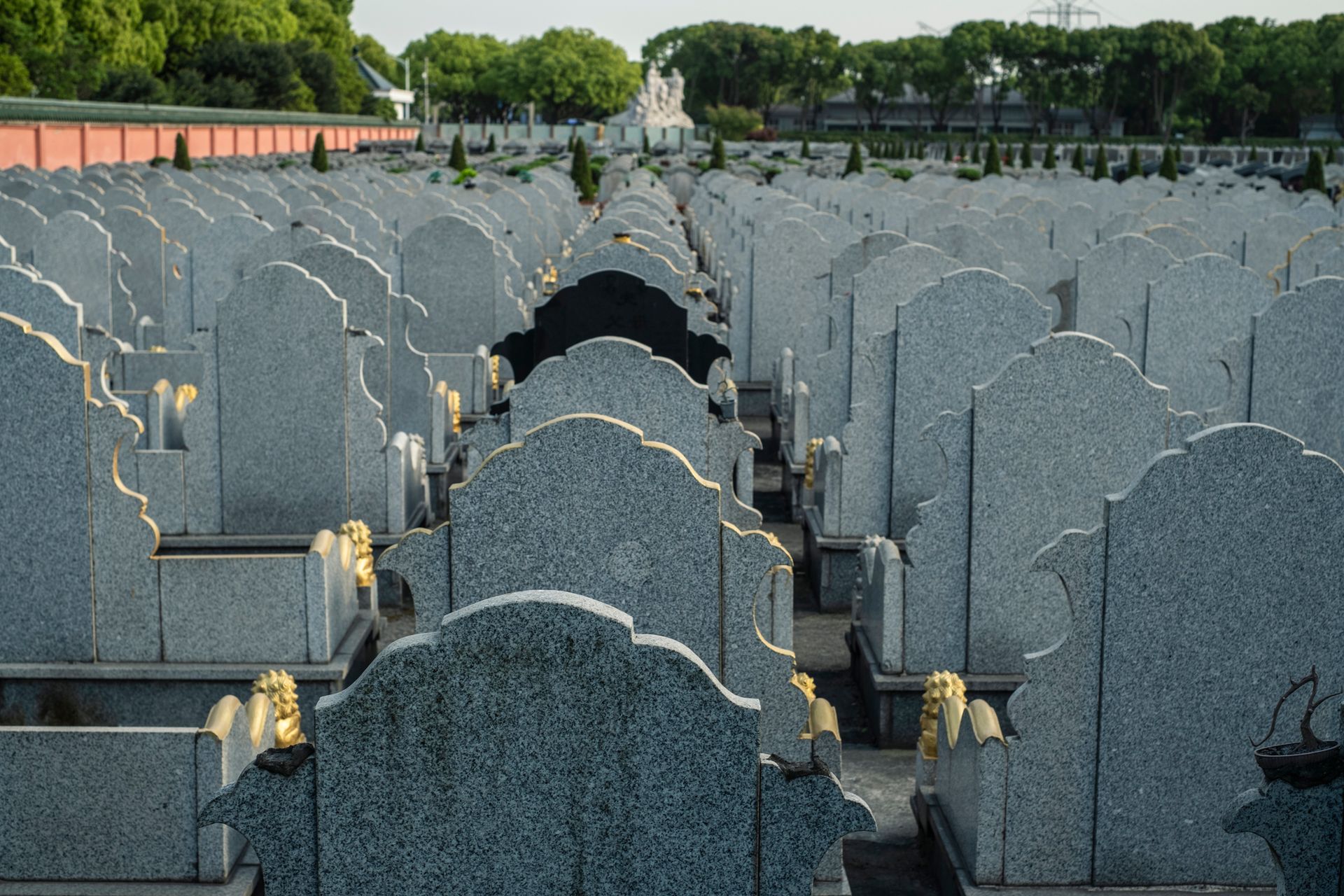 Rows of gray headstones in a cemetery, with a few adorned with gold, under a sky with trees. Rows of gray headstones in a cemetery, with a few adorned with gold, under a sky with trees.