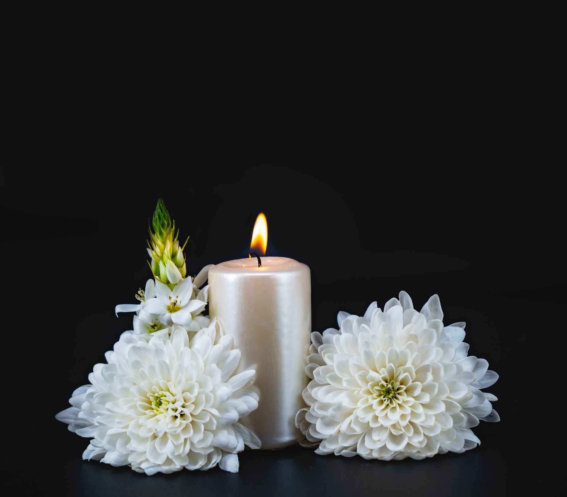 Lit candle with white flowers on black background. Lit candle with white flowers on black background.