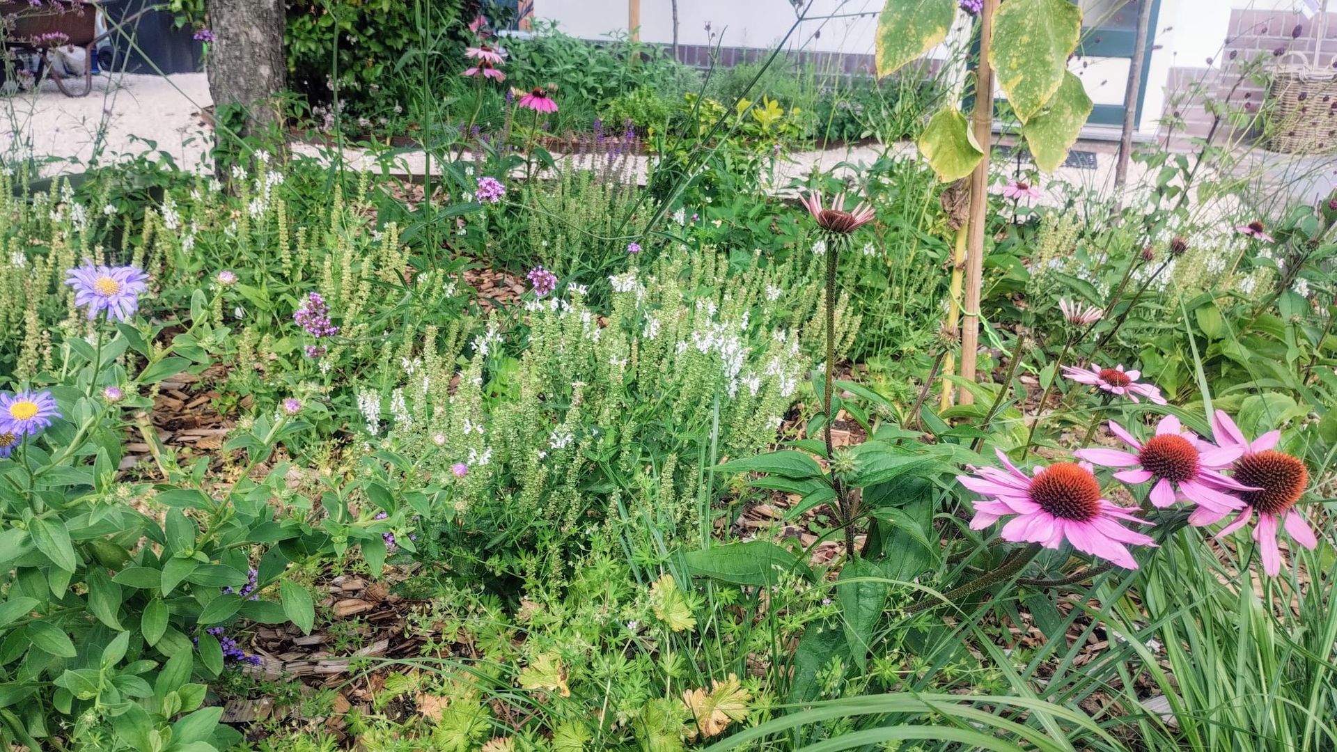 Natuurlijke tuin