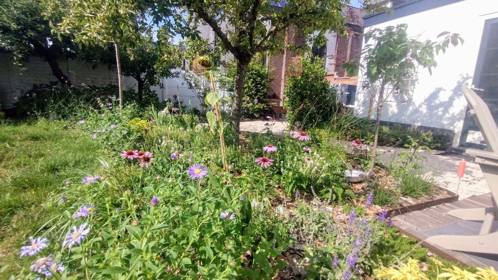 Natuurlijke tuin