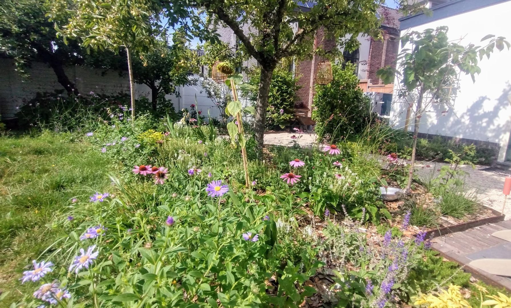 Natuurlijke tuin