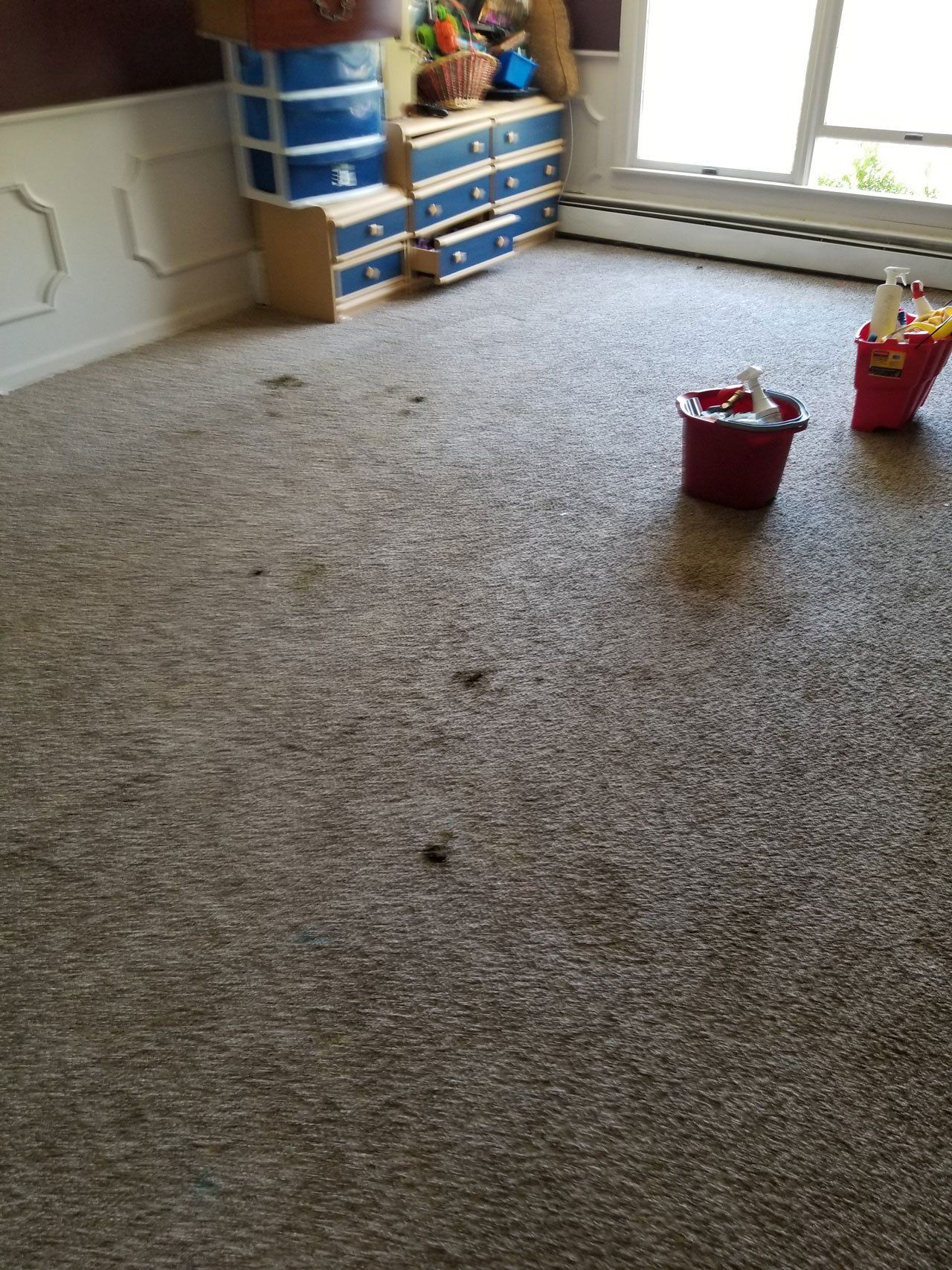 Two red cleaning buckets sit on a carpeted floor in a room with white wall molding and a blue dresser.