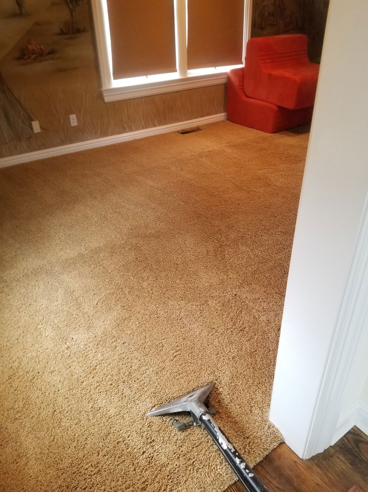 A carpet cleaning wand on a tan carpet in a room with light-colored walls and a red chair in the corner.