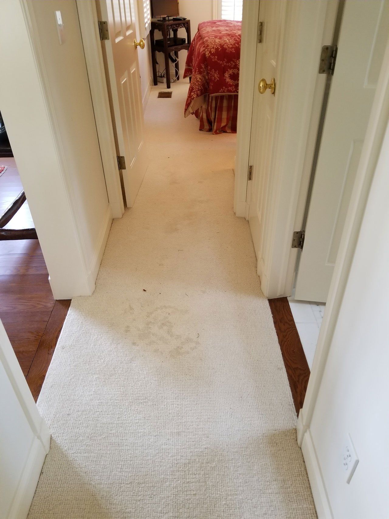 A hallway with off-white carpet and multiple closed white doors, leading to a room with a bed featuring a patterned quilt.