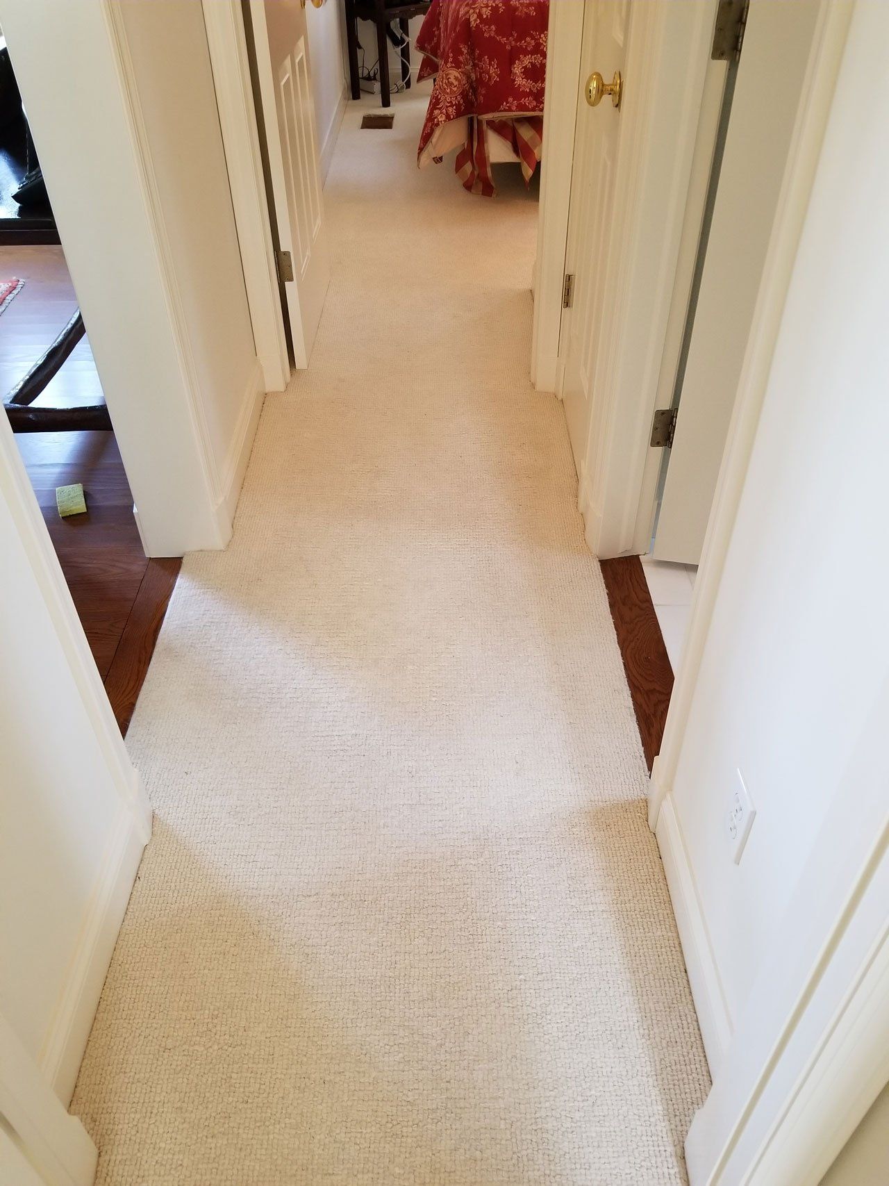 A view down a beige carpeted hallway, showing a rectangular patch of cleaner, brighter carpet in the center.