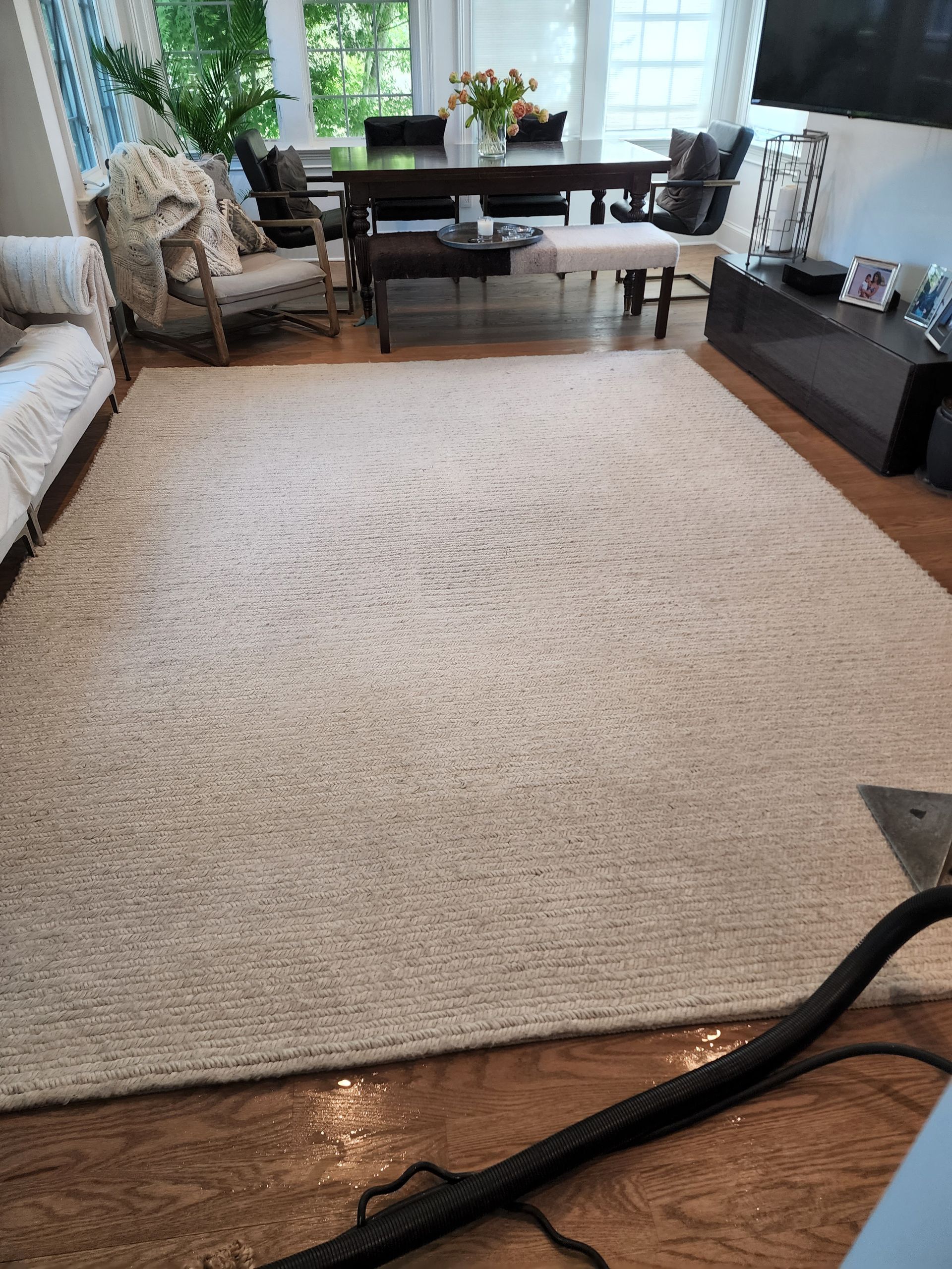 A beige textured area rug centered in a bright room with a dining set and a television console in the background.