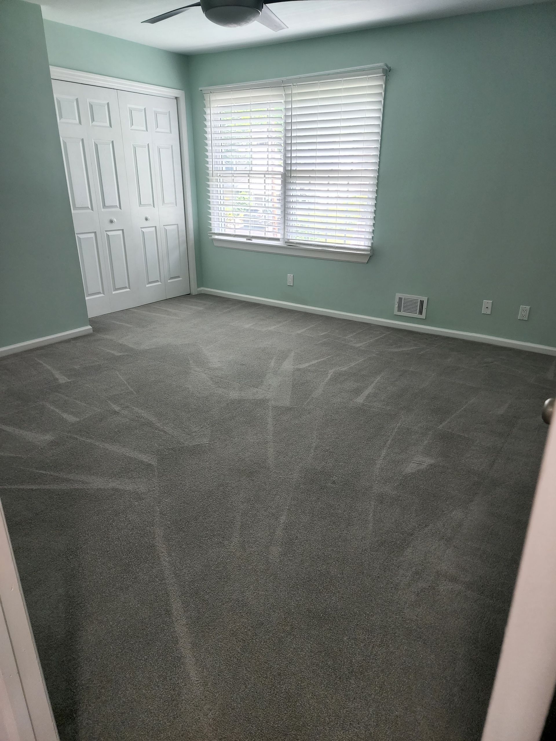 An empty room with mint green walls, grey carpet, a white door, and a window with white blinds.