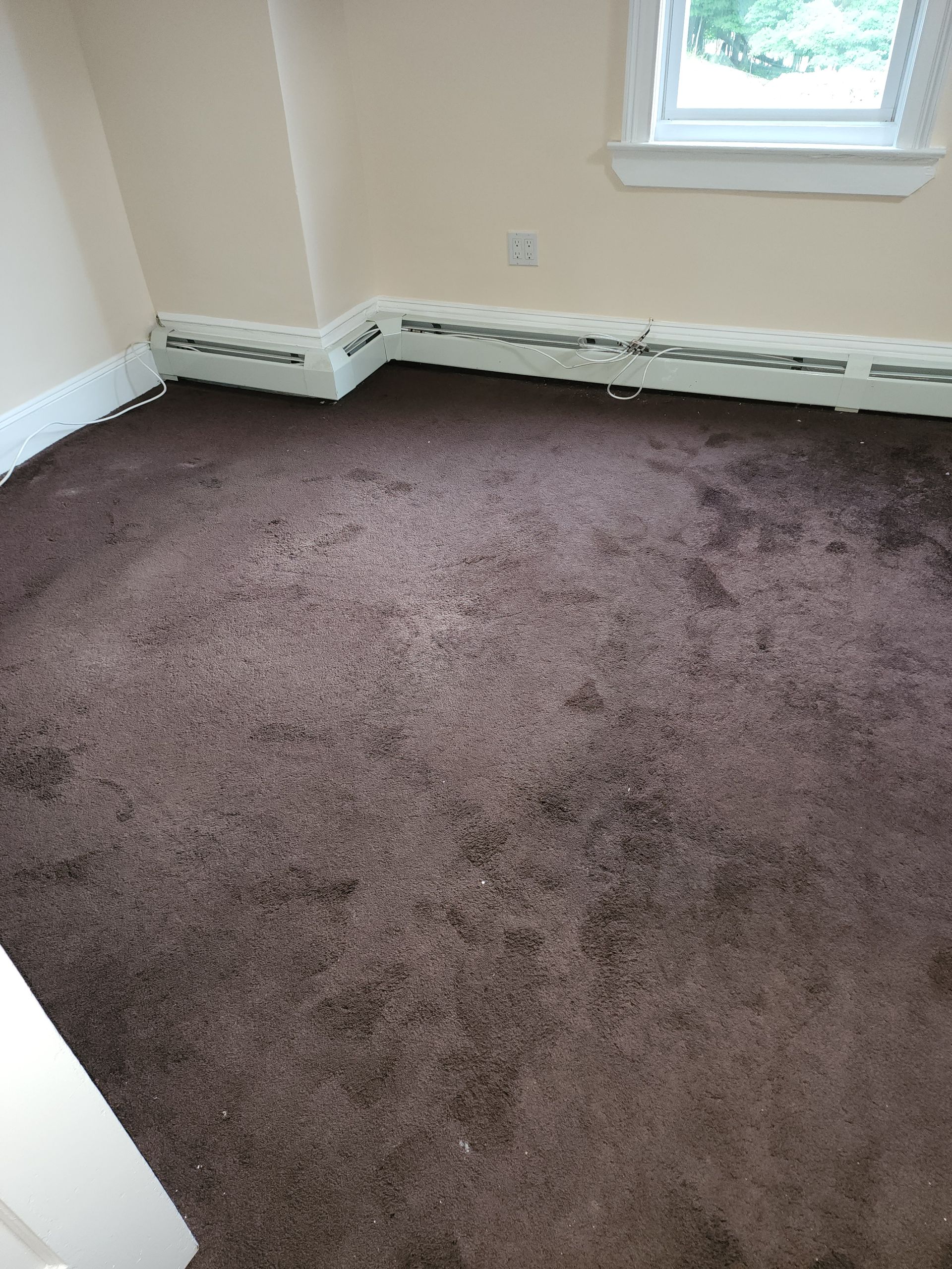 An empty room featuring a dark brown carpet, beige walls, white baseboard heaters, and a window.