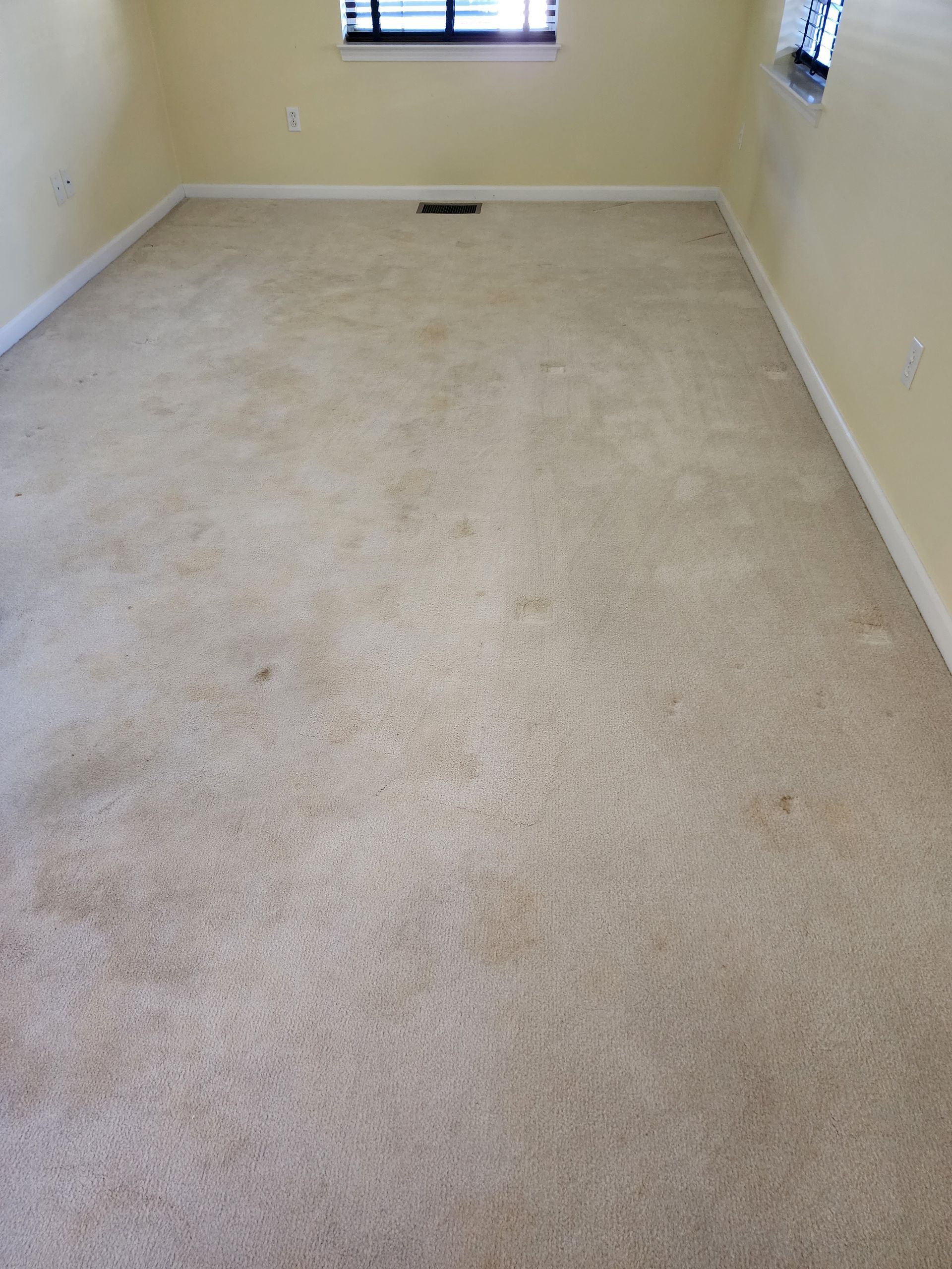 A room with light-colored, stained wall-to-wall carpeting and beige walls under a window.