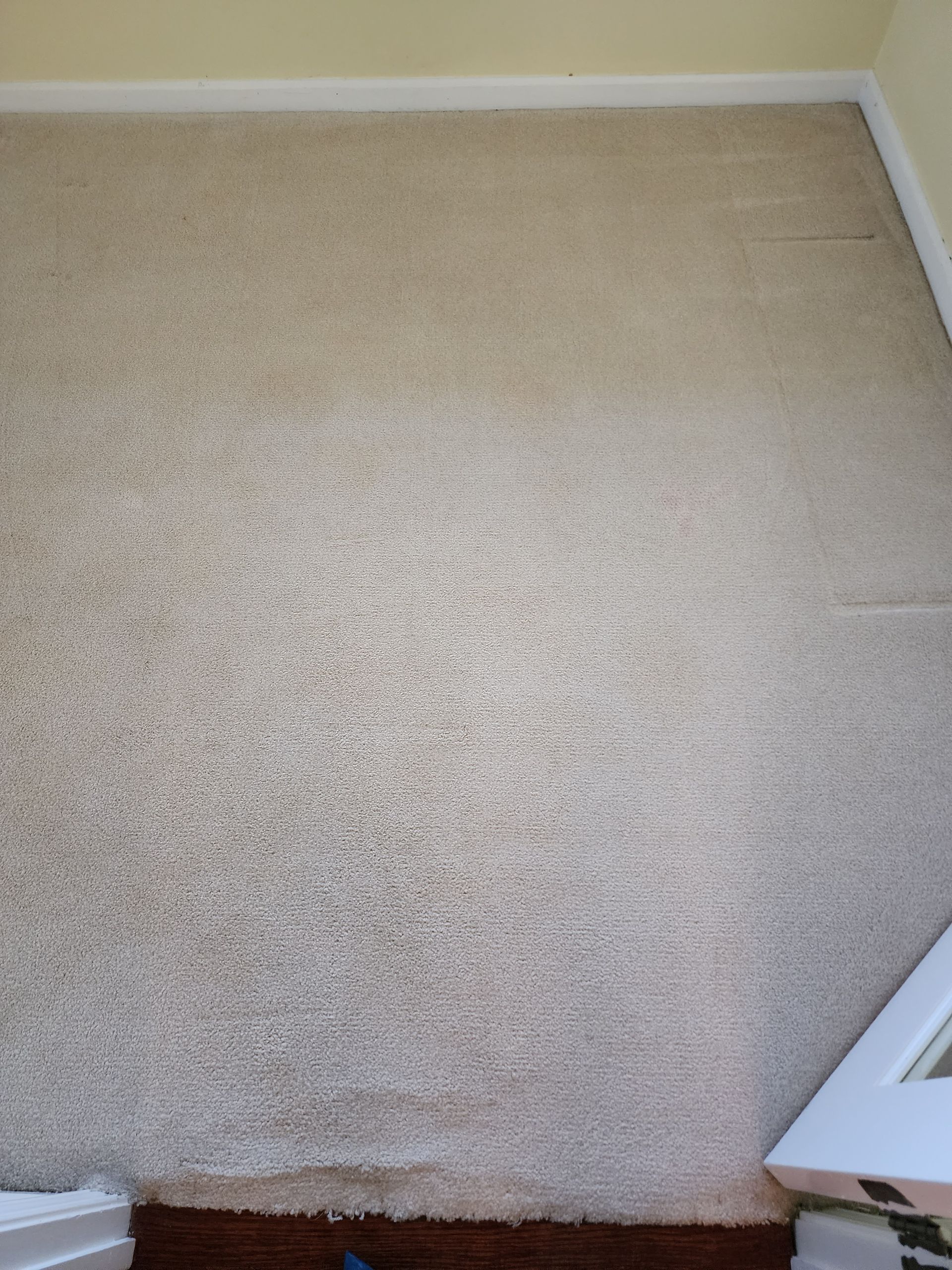 A view from above showing a section of light-colored, textured carpet in a room with white baseboards and a doorway corner.