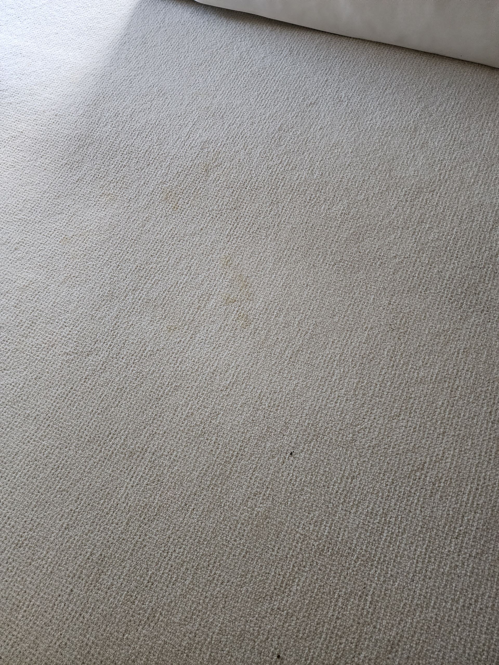 A close-up of speckled, light grey flooring with a dense, textured pattern.