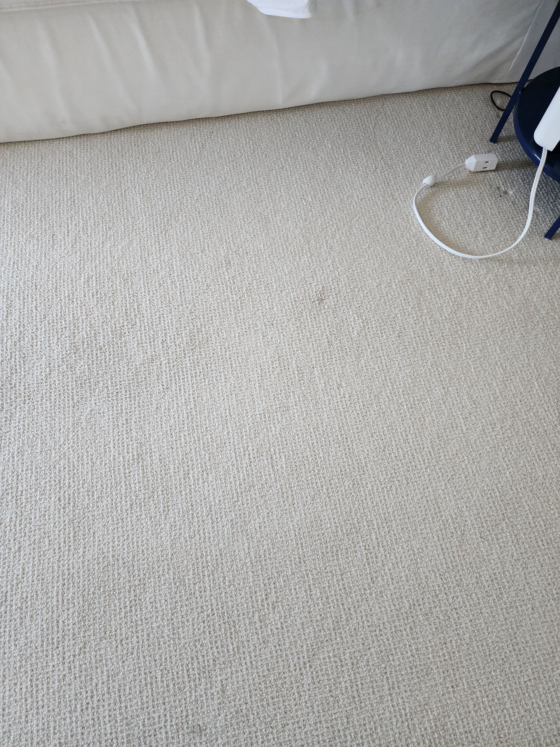 A high-angle view of a beige, textured carpet with a white baseboard and a small corner of a blue lamp base visible.