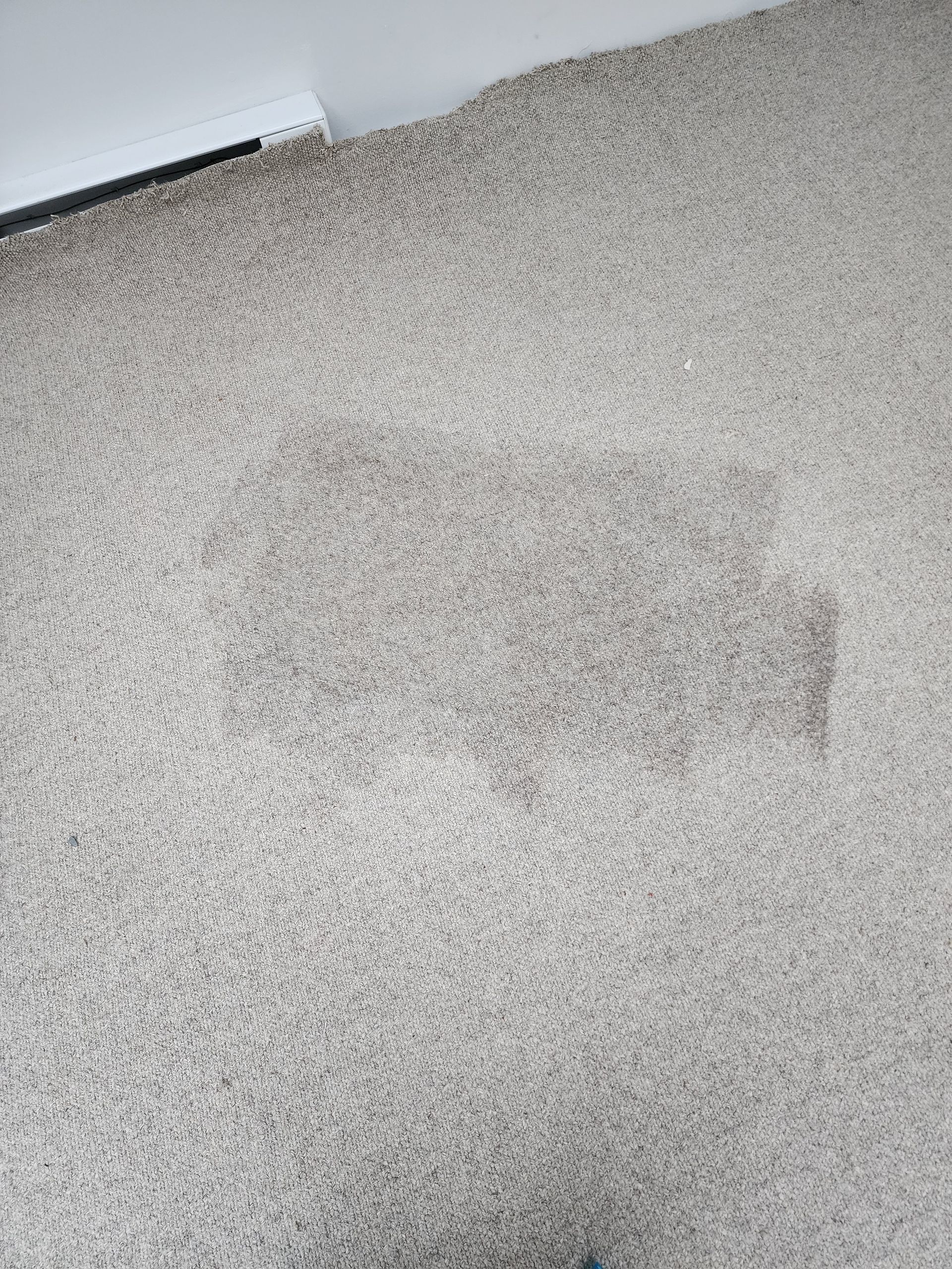 A rectangular, dark-colored stain on light gray, textured wall-to-wall carpeting near a white baseboard.