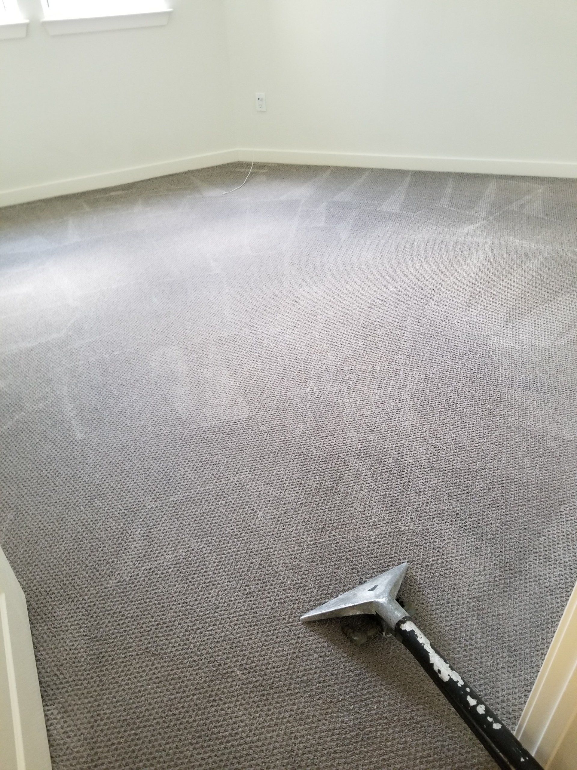 A carpet cleaning wand rests on a grey carpet, showing curved cleaning tracks made across the room.