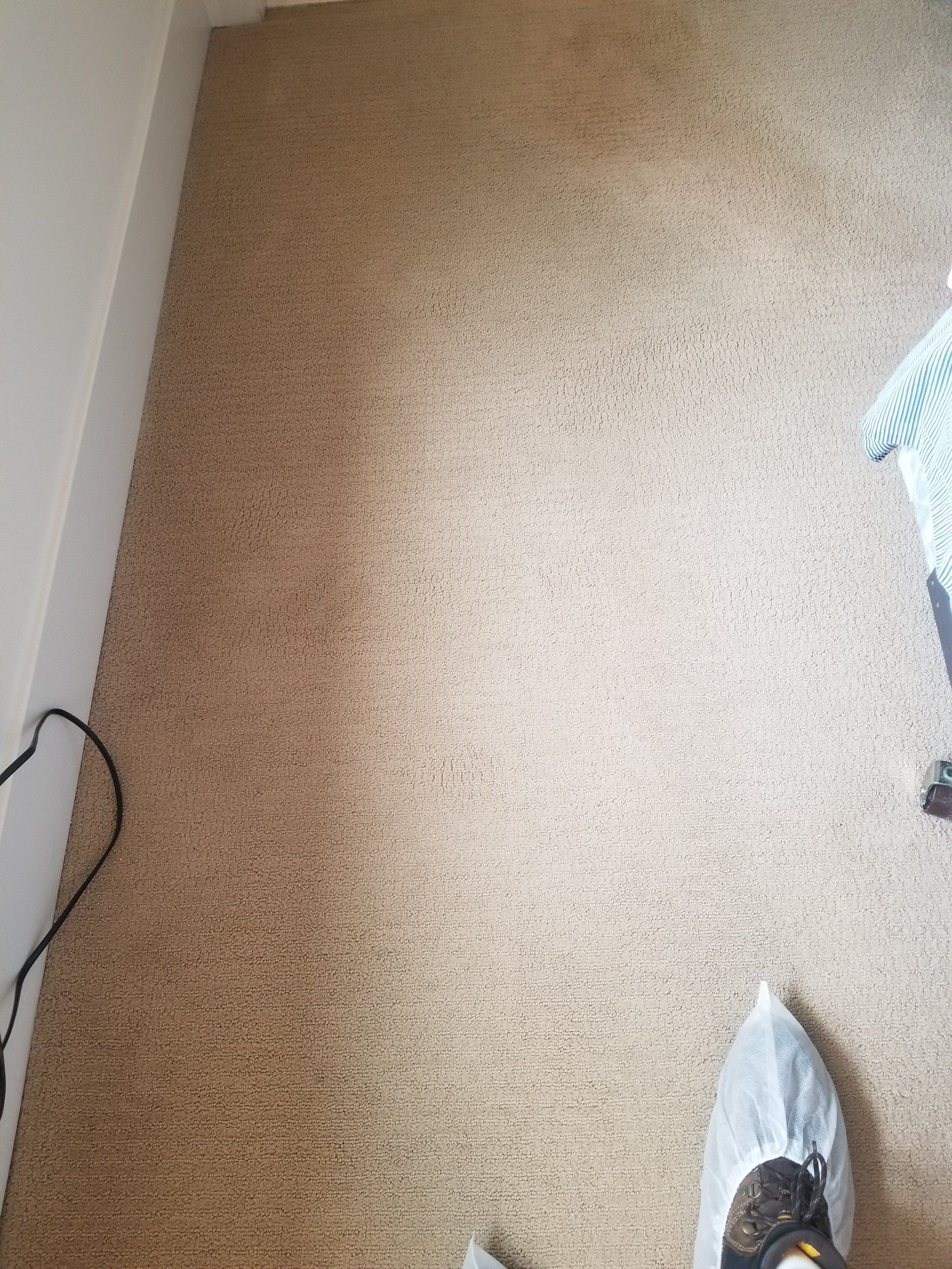 A top-down view of beige carpeted floor with a person wearing white disposable shoe covers standing in the corner.