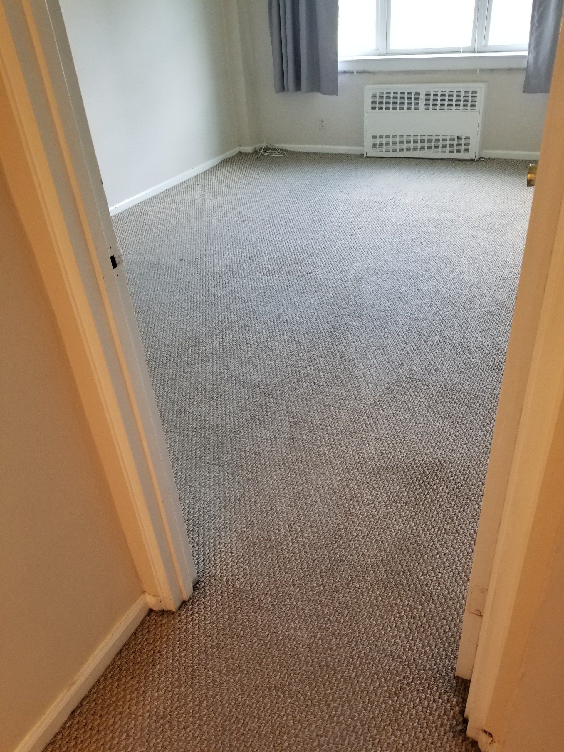 A view through a doorway into a room with gray wall-to-wall carpeting and a white radiator under a window.