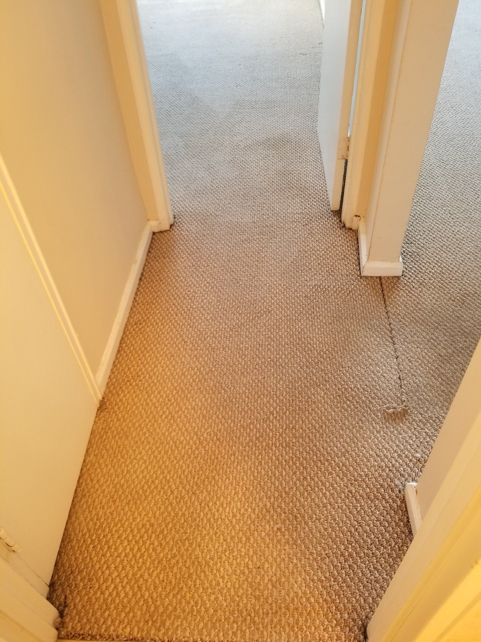 A narrow hallway with light brown textured carpet, seen from a doorway looking into an adjacent room.
